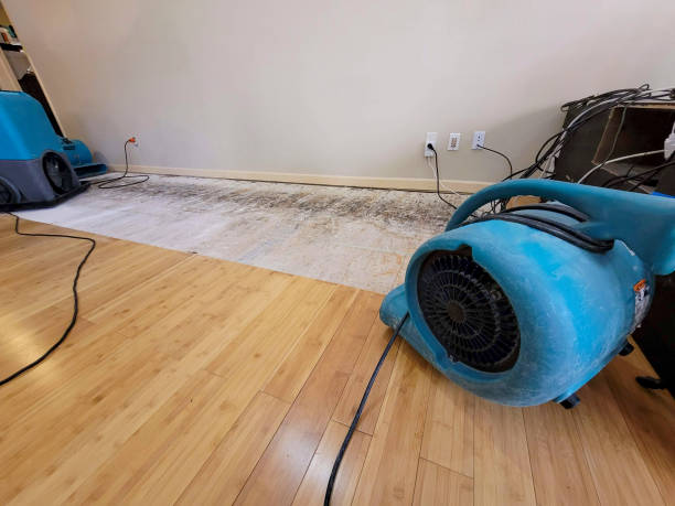 Professional Water Damage Repair technician working in Saratoga Springs, NY